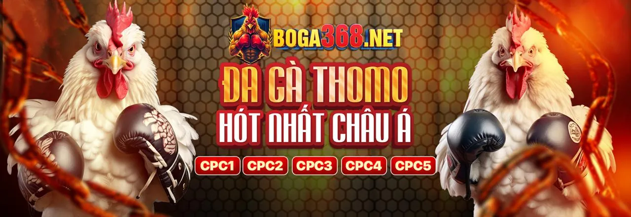 Hình ảnh đối tác đá gà thomo trực tiếp ngày hôm nay